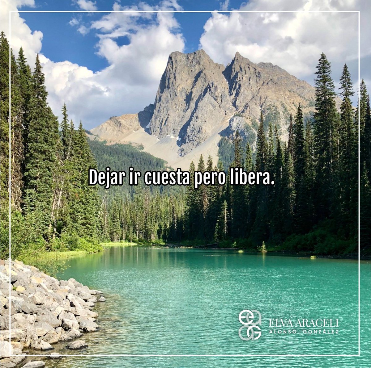 draelva_araceli's tweet image. ¡Bendecido día!

#libertad #espiritulibre #amorpropio #diosesbueno🙏 #escobedonuevoleon #escobedences