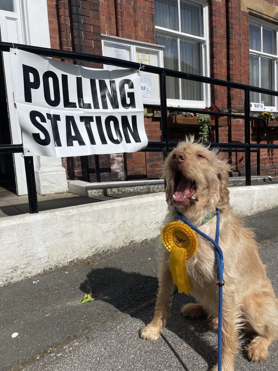 Stewart Golton 🔶 (@goltonstewart) on Twitter photo Watson says “It’s a wufferly day to go and vote for Stewart Golton <a href="/LibDems/">Liberal Democrats</a> in #Wakefield & #Rothwell constituency” #dogsatpollingstations Watson says “It’s a wufferly day to go and vote for Stewart Golton <a href="/LibDems/">Liberal Democrats</a> in #Wakefield & #Rothwell constituency” #dogsatpollingstations