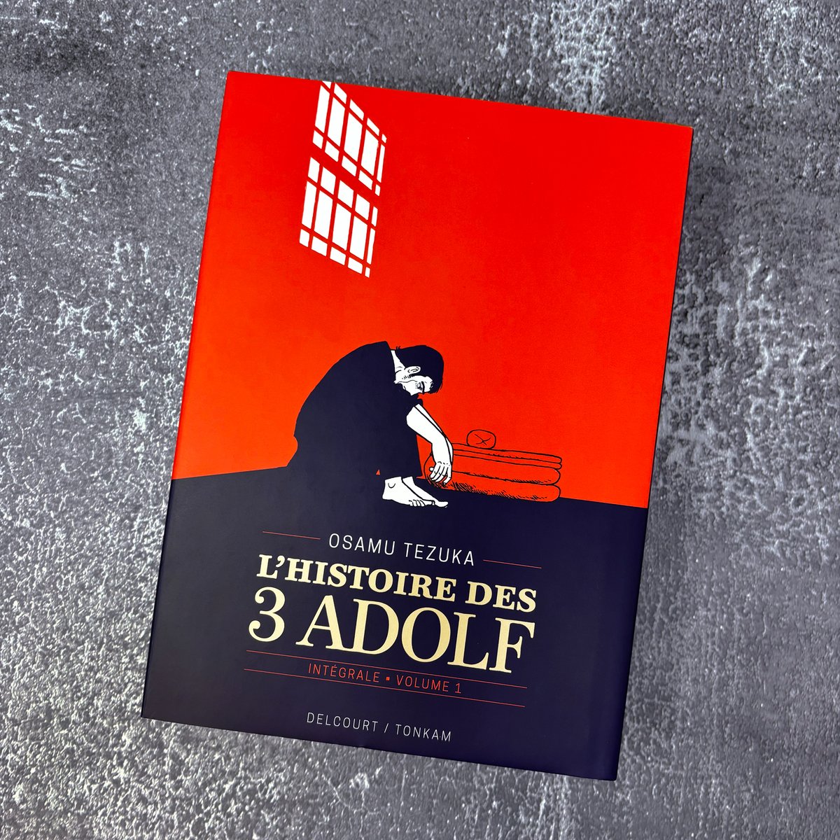 DelcourtTonkam's tweet photo. En cette période difficile, on vous recommande la lecture de L'Histoire des 3 Adolf d'Osamu Tezuka, un manga au récit puissant contre les ombres du passé pour éclairer notre présent.

#manga #LHistoireDesTroisAdolf #OsamuTezuka https://t.co/XNHexEw0fv
