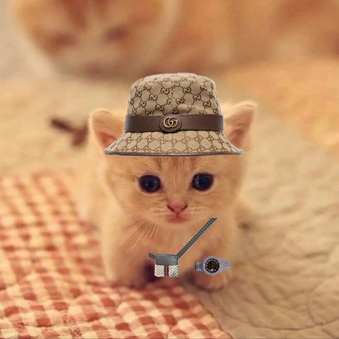 tichicommunity's tweet photo. Good Morning Crypto Enthusiast.. From $tichi community - it's still early to be part of the journey!! https://t.co/CvDbDOvxqH