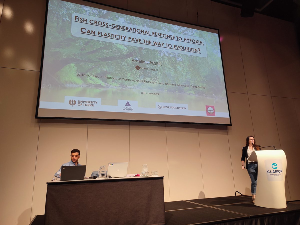Katharina Ruthsatz (@kruthsatz) on Twitter photo @AmelieCrespel adding to the previous talk on cross-generational responses to hypoxia in fish, thereby closing the pre-lunch slot of the A17 session at #sebconference. 🐟🫧🐟🫧 <a href="/SEBiology/">SEB @sebiology.bsky.social</a> @AmelieCrespel adding to the previous talk on cross-generational responses to hypoxia in fish, thereby closing the pre-lunch slot of the A17 session at #sebconference. 🐟🫧🐟🫧 <a href="/SEBiology/">SEB @sebiology.bsky.social</a>