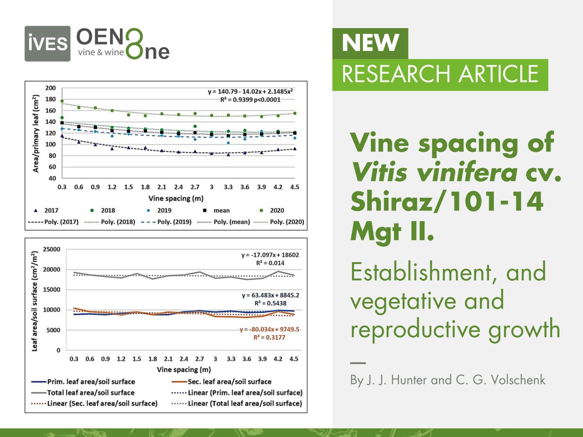 NEW on #OENOOne!🍃 "#Vine spacing of Vitis vinifera cv. #Shiraz/101-14 Mgt II. Establishment, and vegetative and reproductive growth " by J. J. Hunter and C. G. Volschenk 

🔎 Full article: bit.ly/3WadBZ1

#vineyard #plant #terroirs #soil