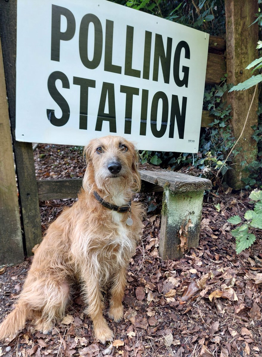 Her first General Election, she is more excited than she looks #dogsatpollingstations