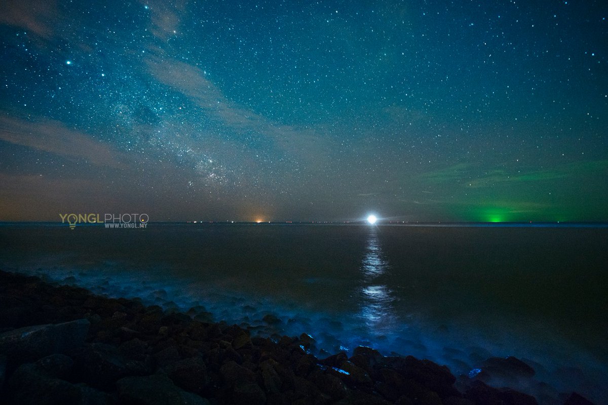 <a href="/Rainmaker1973/">Massimo</a> i captured this glowing blue tears from Sungai Besar, Malaysia (2019), one of the most surreal phenomenon i have seen with my naked eyes