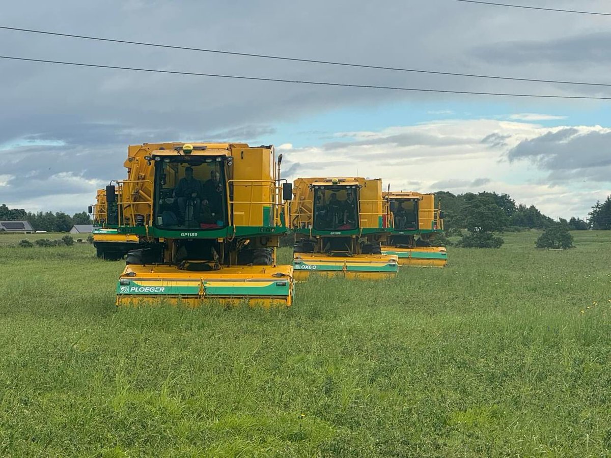 east coast viners tweet media