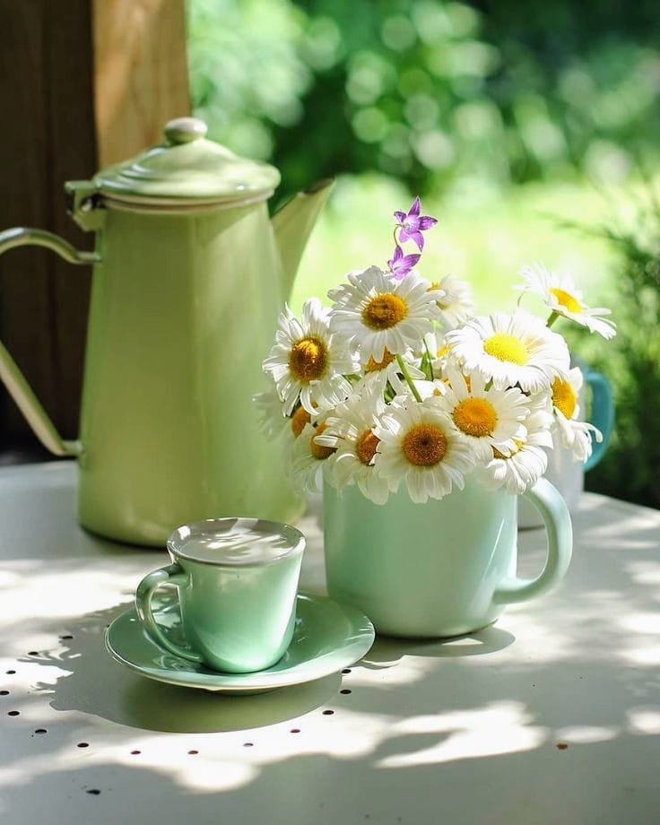 Susannah J. Bell 🌺 tweet media