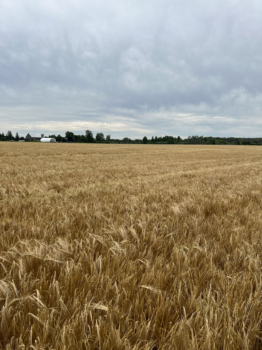 Scott Snyder tweet media