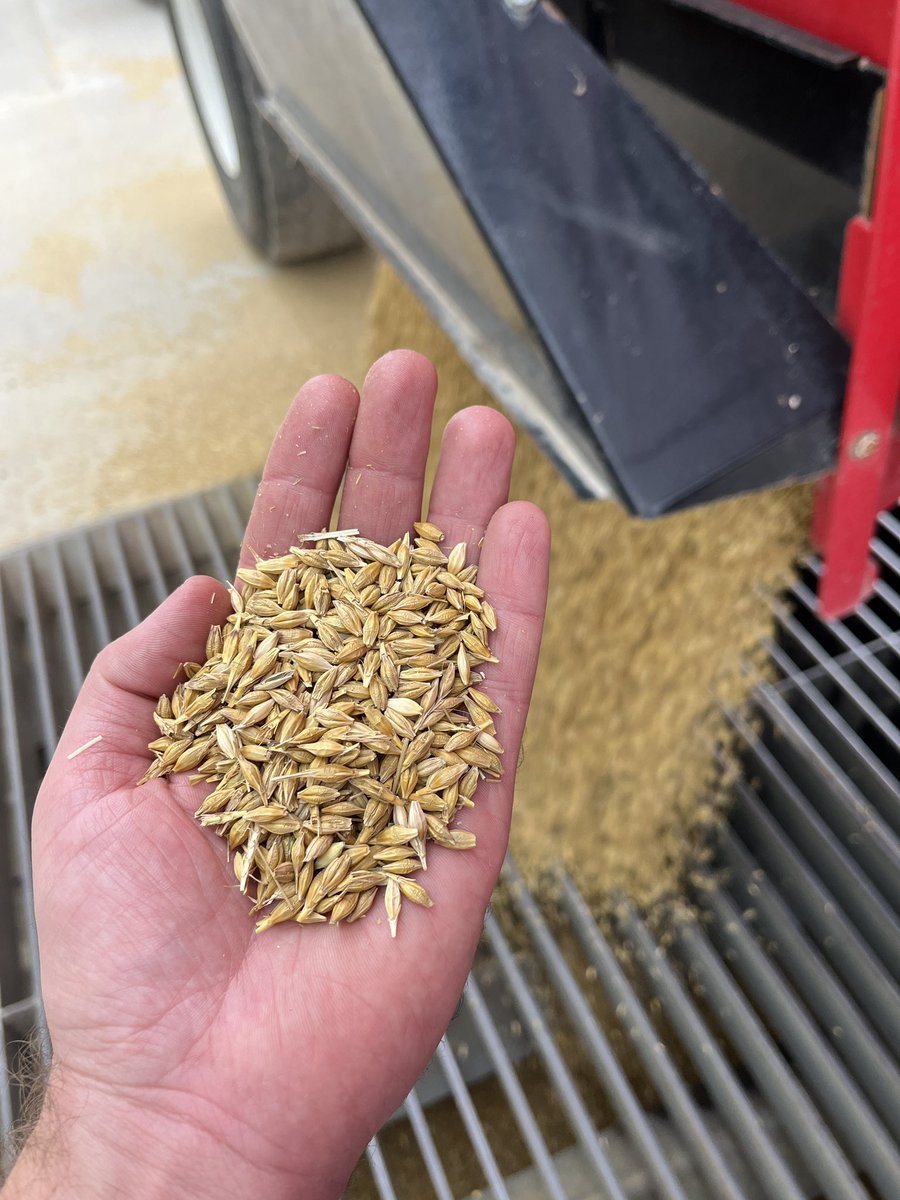 Scott Snyder tweet media