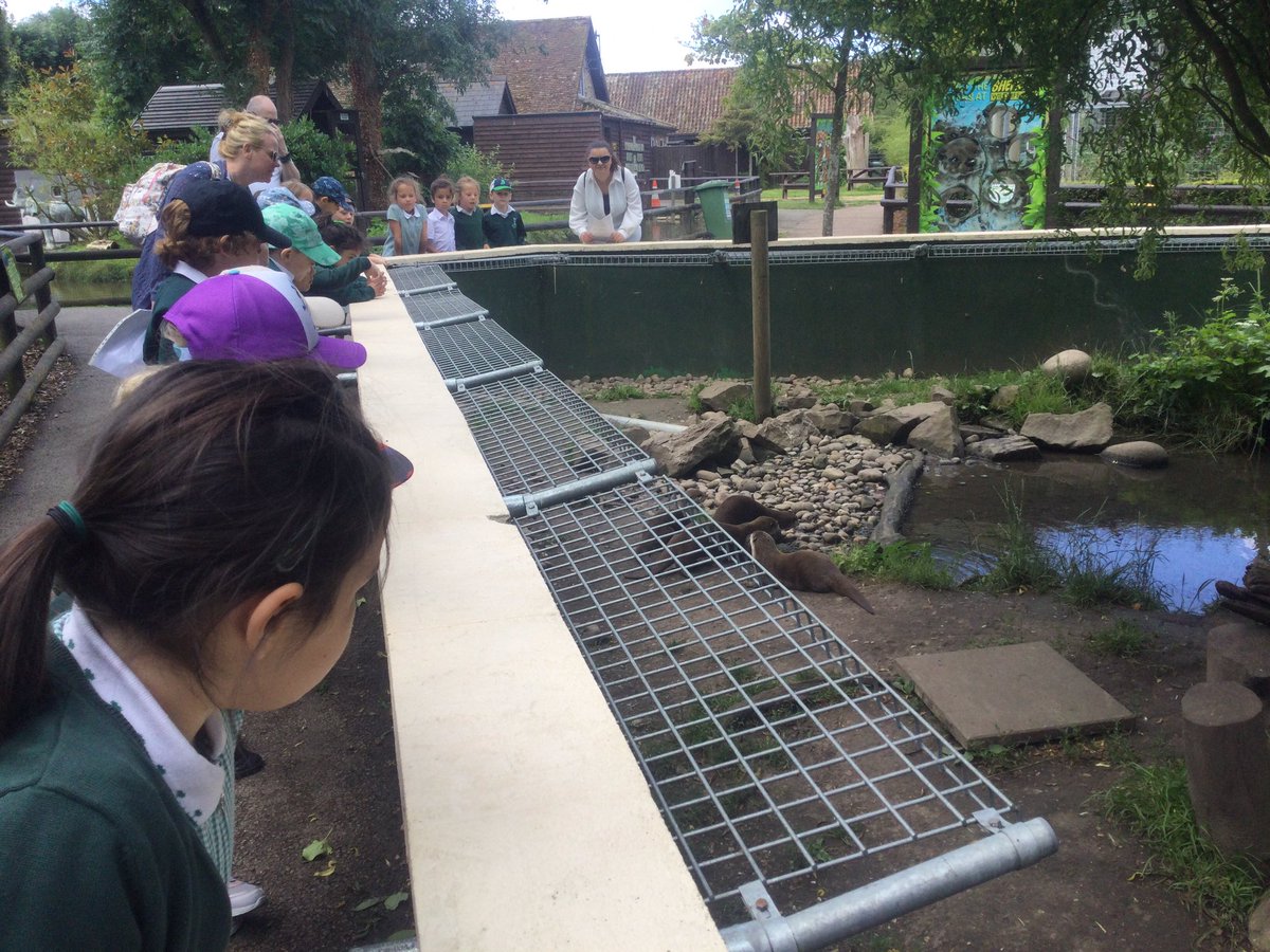 Year 1 have arrived safe and sound at Shepreth wildlife park- currently enjoying our workshops before lunch.