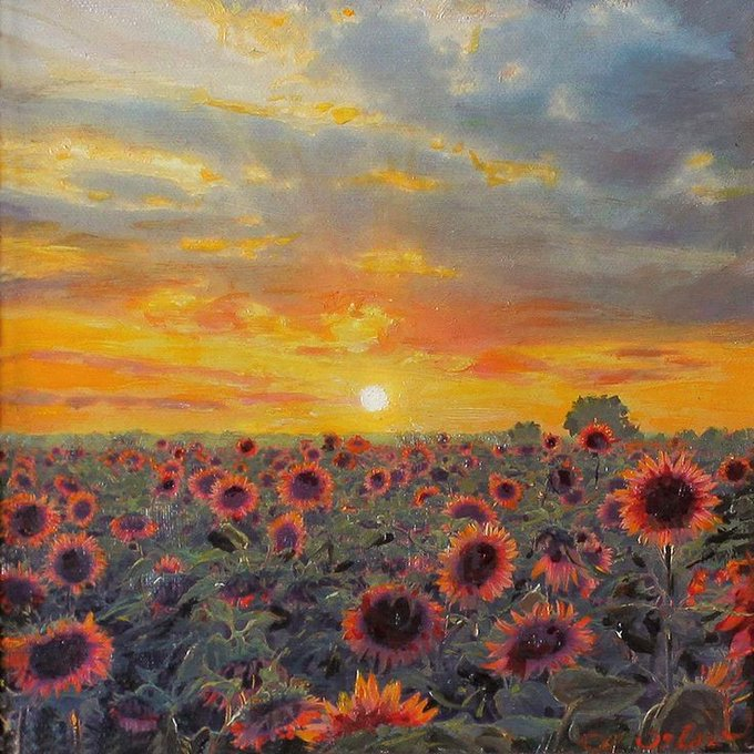 SUNFLOWER 🌻 tweet media