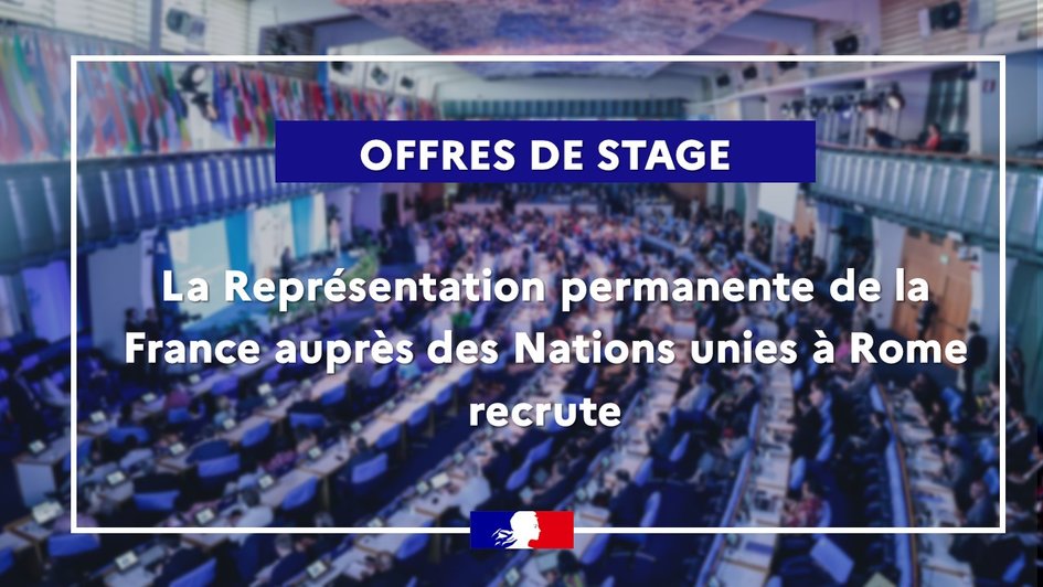 #OnRecrute 🚨 La Représentation permanente de la France auprès des Nations Unies à Rome 🇨🇵🇺🇳 propose plusieurs stages pour la rentrée. 
Vous êtes élèves-fonctionnaires à l'#ENS, élèves-fonctionnaires agronomes, étudiants ? Pour en savoir plus 👉 onu-rome.delegfrance.org/Offres-de-stag…