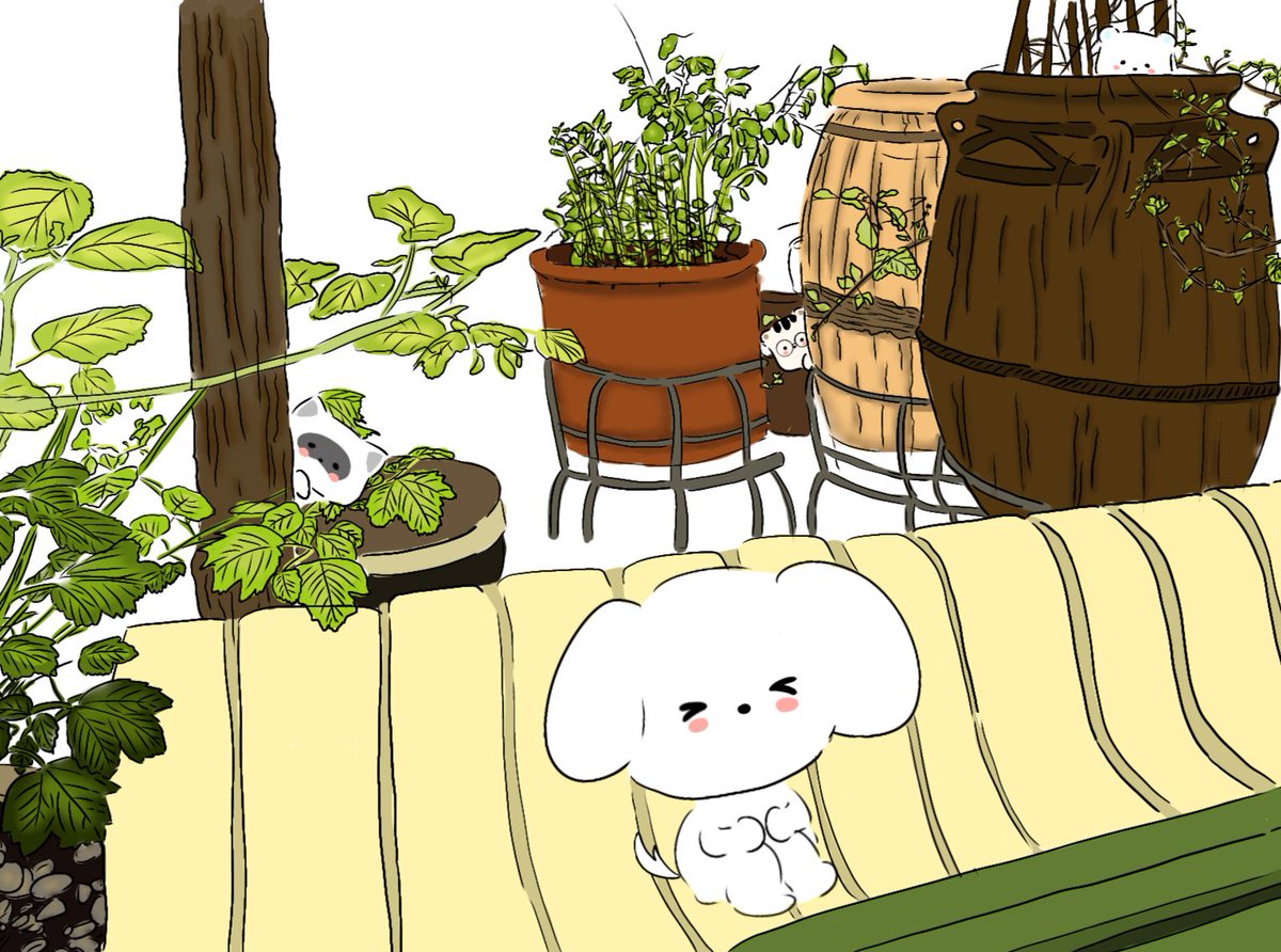 최왈왈 tweet media