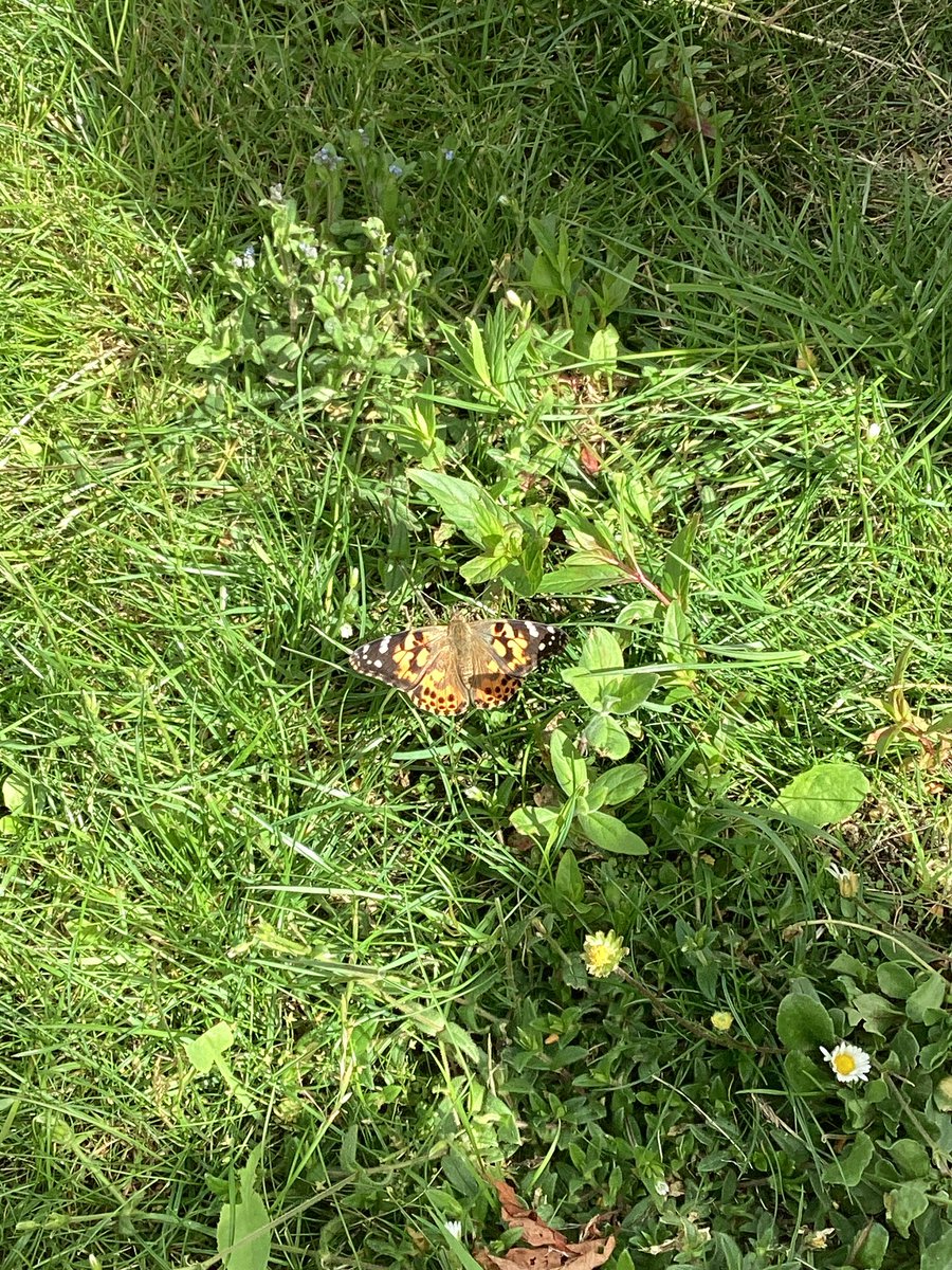 Reception - St. Philip's tweet media