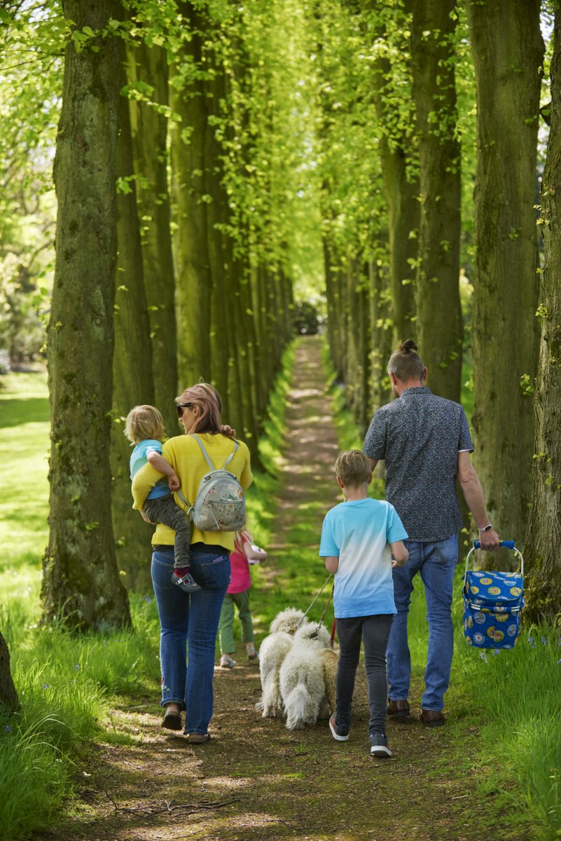 If you're planning what to do next week, check out  Wentworth Castle Gardens who have plenty of events to choose from, including house tours,  beginners running group &amp; walks taking in plants of interest and the history of the site.Visit nationaltrust.org.uk/.../wentworth.… for further info.