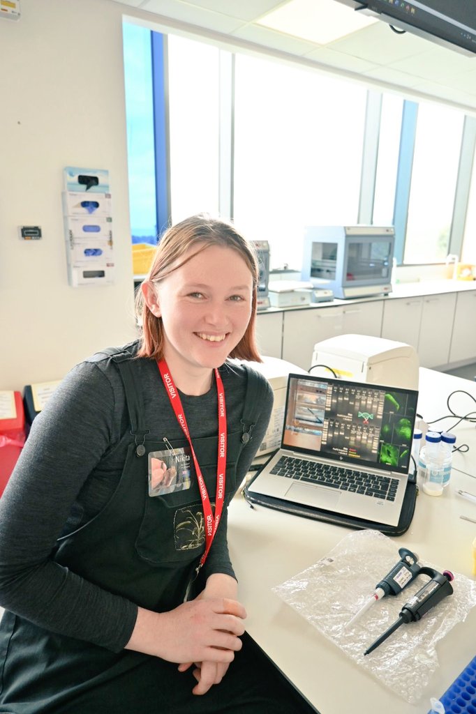 NVC group tweet media