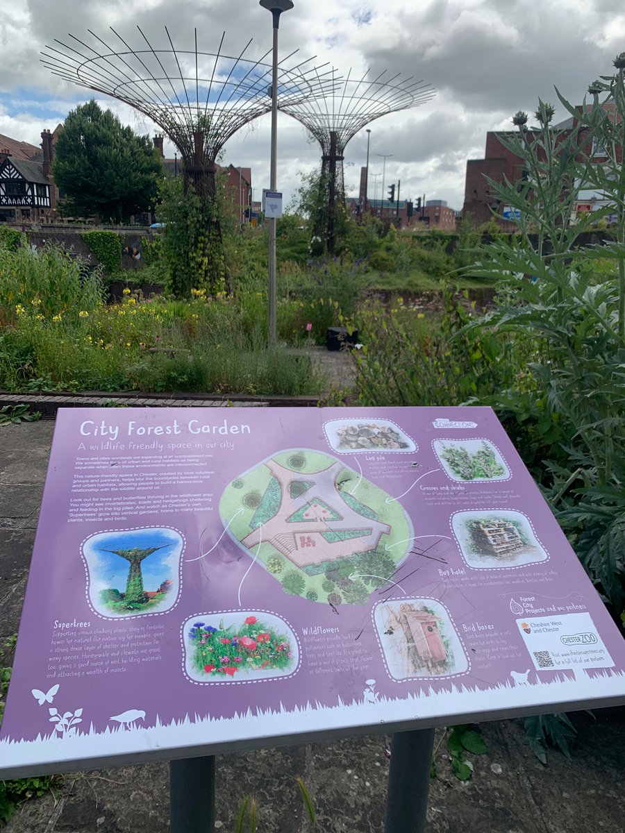 chestertourist's tweet image. Chester City Forest Garden.
Chester.
#Chester