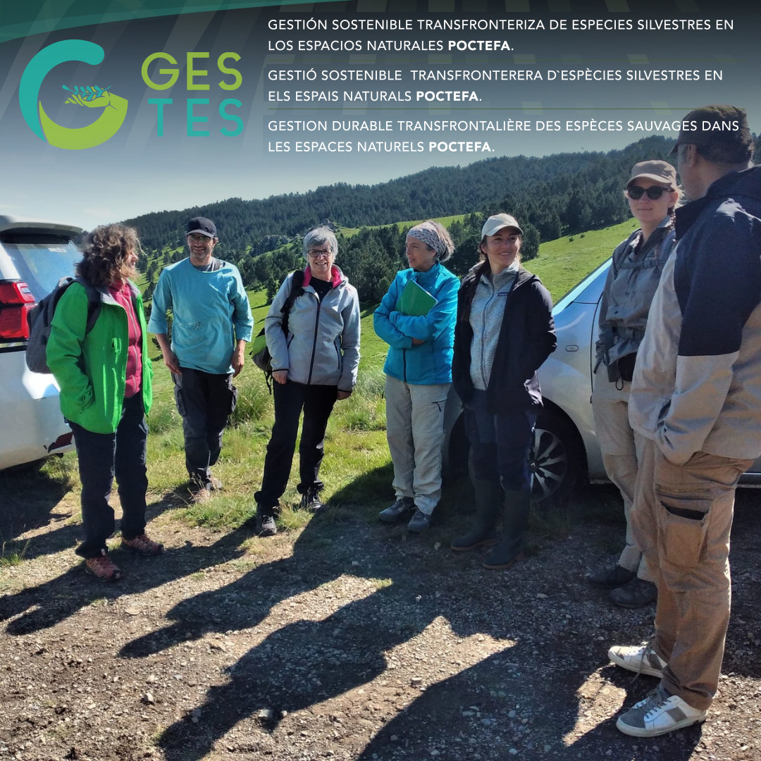 CITAAragon's tweet photo. 👥🌱Esta semana se han celebrado unas jornadas técnicas sobre "seguimiento de poblaciones recolectadas y #dron” en #Ascou (Francia), en el marco del proyecto #GESTES #POCTEFA #Interreg

➡️ Un encuentro en el que ha participado la investigadora del CITA Auxi Casterad

 @CTPPOCTEFA https://t.co/CqPZMV9spb
