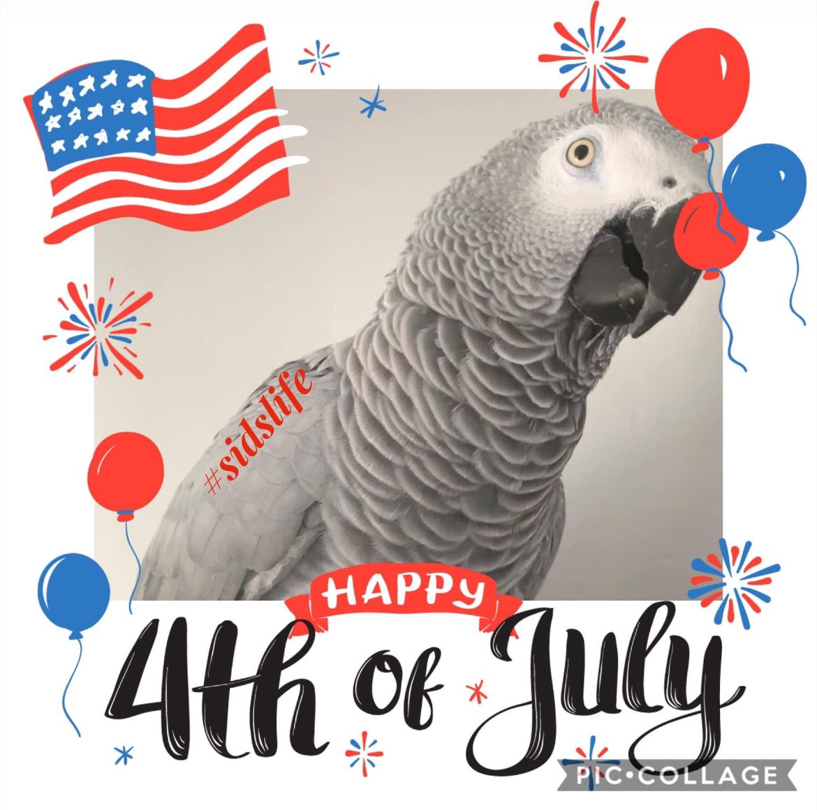 $ɨďŢh€ΡĄЯЯ๏Ţ😜🤩 tweet media