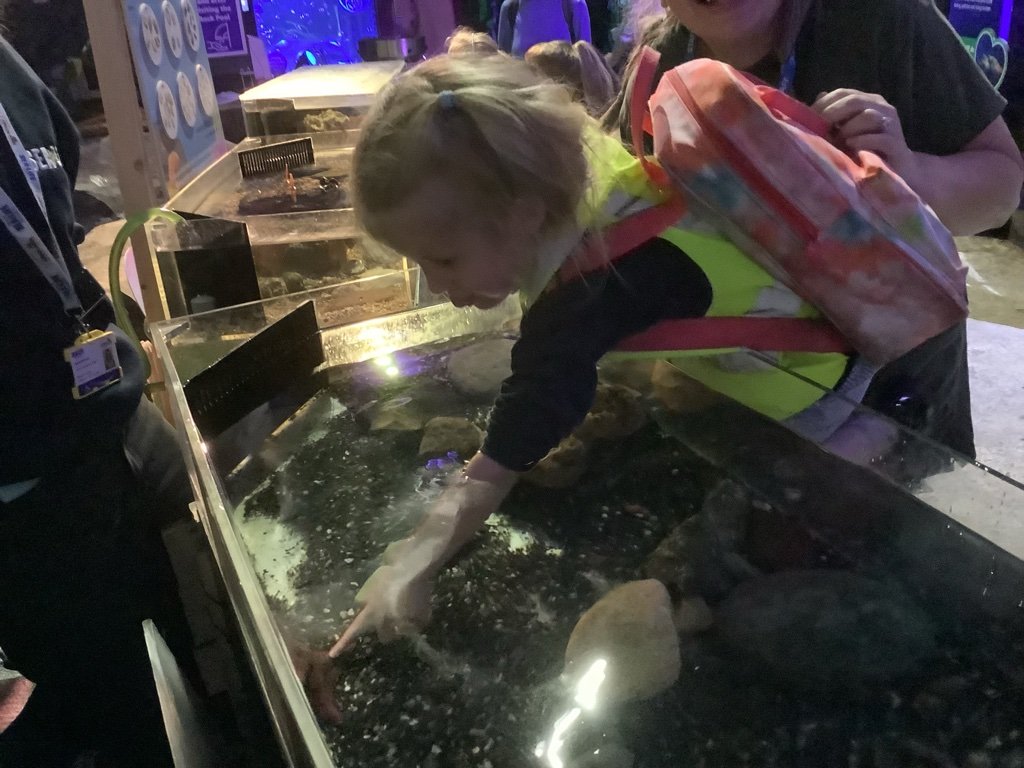 Cranham Primary School and Cranberries Nursery tweet media