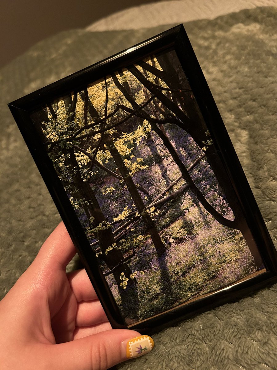 aip_photographs's tweet image. New in now!!! 🪵🌳🦆✨🪻🌿🦔🍃🦊🌼🦅🐝🌻 
All framed photos pictured are £5. 
Message me to order yours now. 
#wildlife #nature #framedphotos #outdoors #britishwildlife #yorkshire @Natures_Voice @WoodlandTrust @WildlifeTrusts @CanalRiverTrust @YorkshireWater
