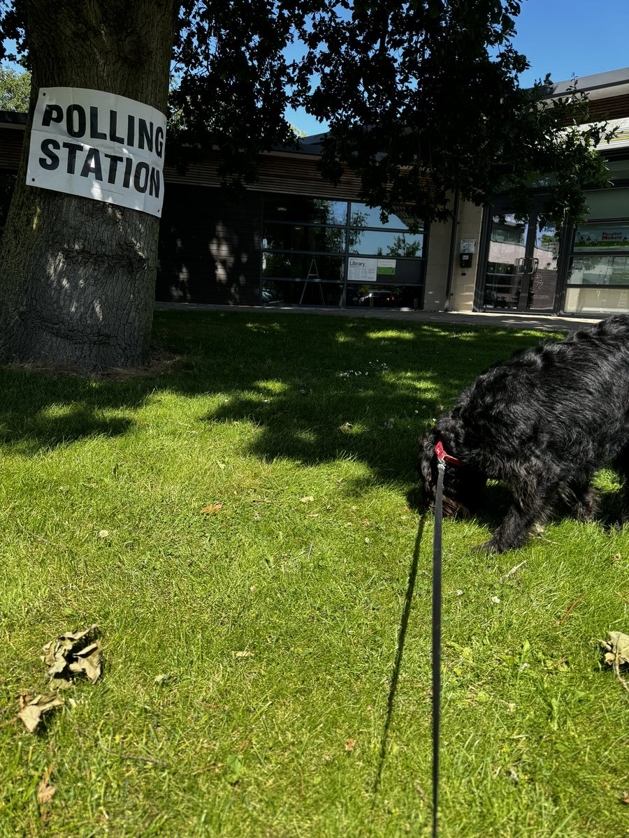 Not the best photo, but here’s Truff sniffing out all the major parties bullshit.
#dogsatpollingstations