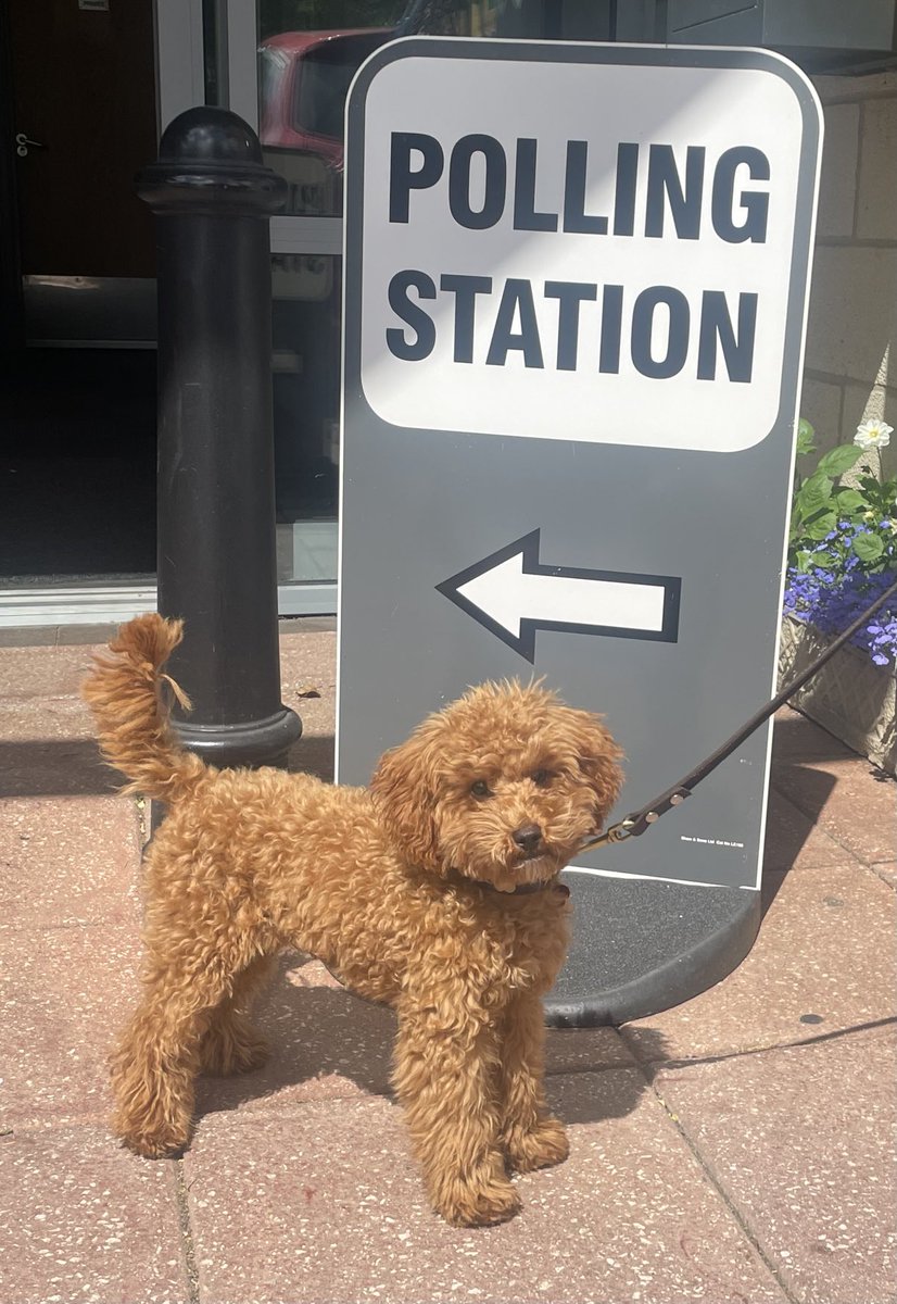 ChrisLittley's tweet photo. Twiglet says vote ⁦@SarahGreenLD⁩ #DogsAtPollingStations #StopTheTories https://t.co/01kcFQCxaI