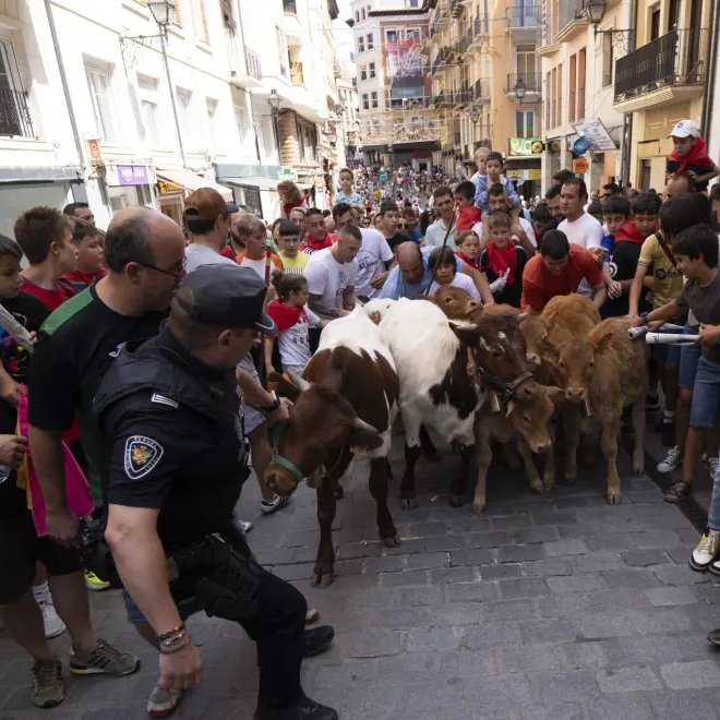ruben_prz's tweet photo. ¿Este el papel de la Policía Local de #Teruel?

Menos pendientes estuvieron mientras niños y niñas participaban en esta suelta de reses (promocionada como encierro) sin el acompañamiento obligatorio de sus tutor@s, como fija el reglamento taurino. https://t.co/HZvgc5cdSw