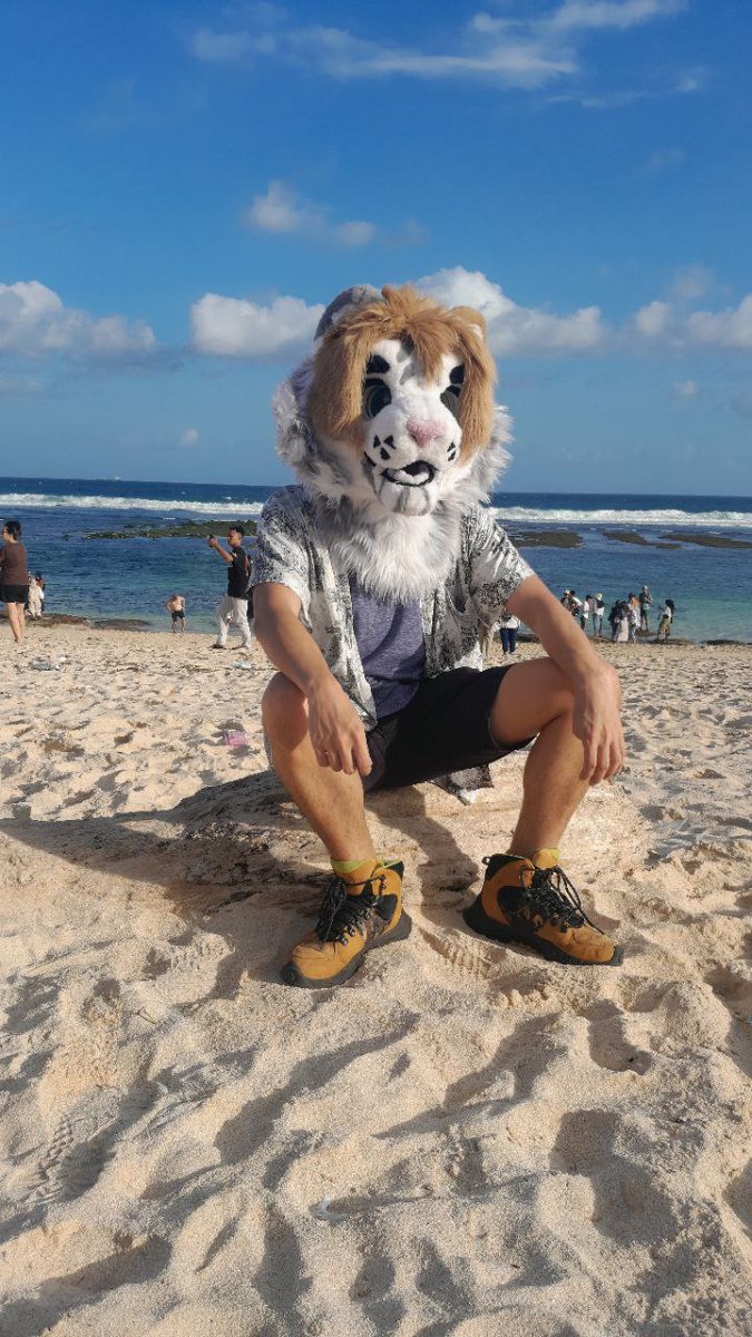Pesakh2's tweet photo. A silly cat is waiting for sunset

Fursuit by : @Russelldafox https://t.co/f8dKkcMyAI