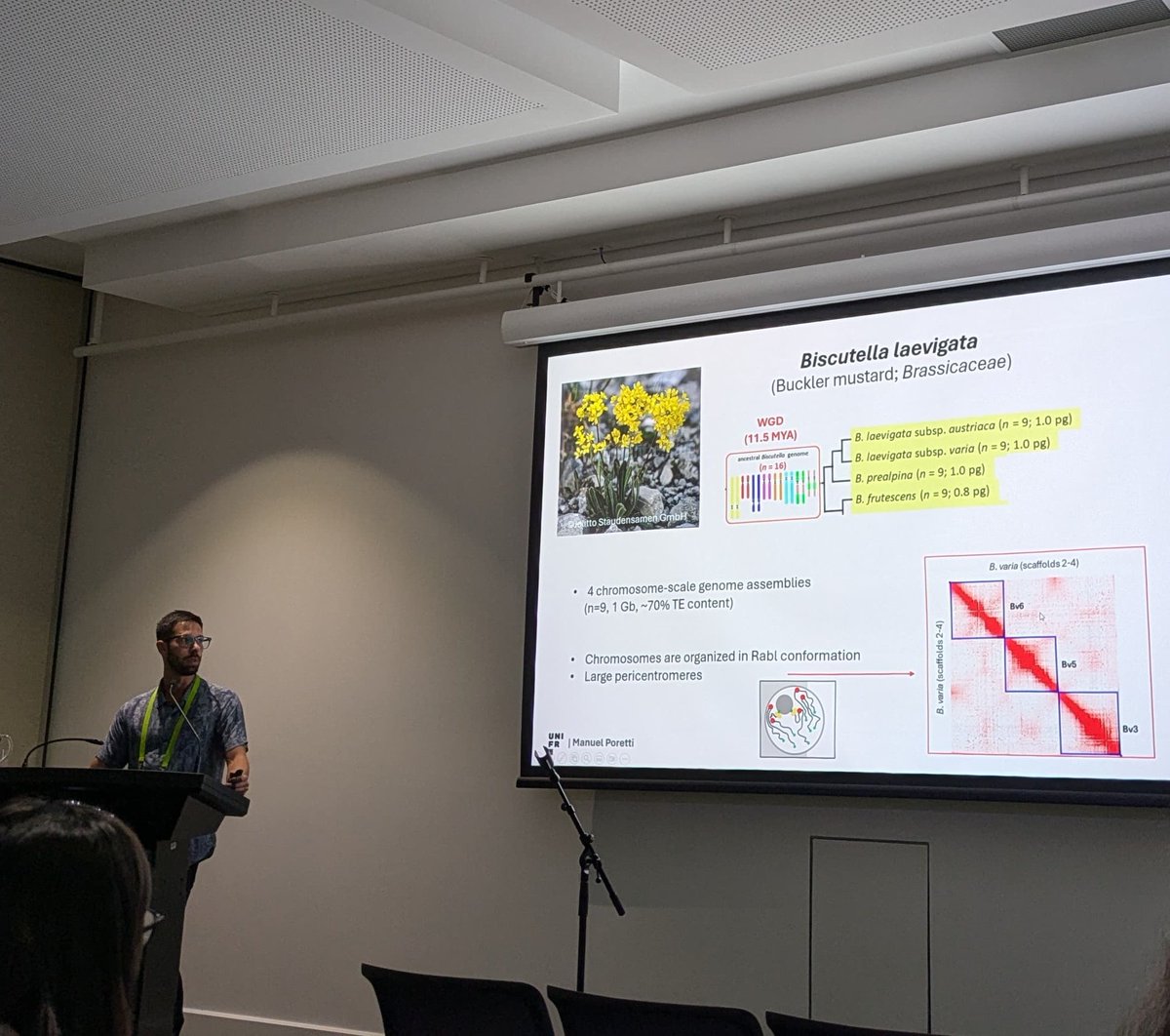 Manuel Poretti tweet media