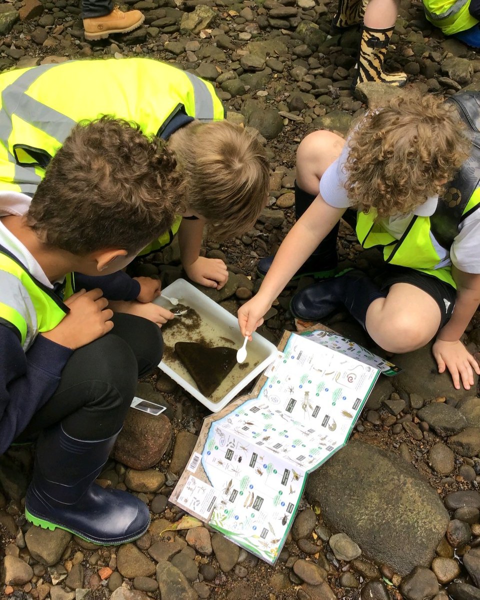 Moldgreen Community Primary School tweet media