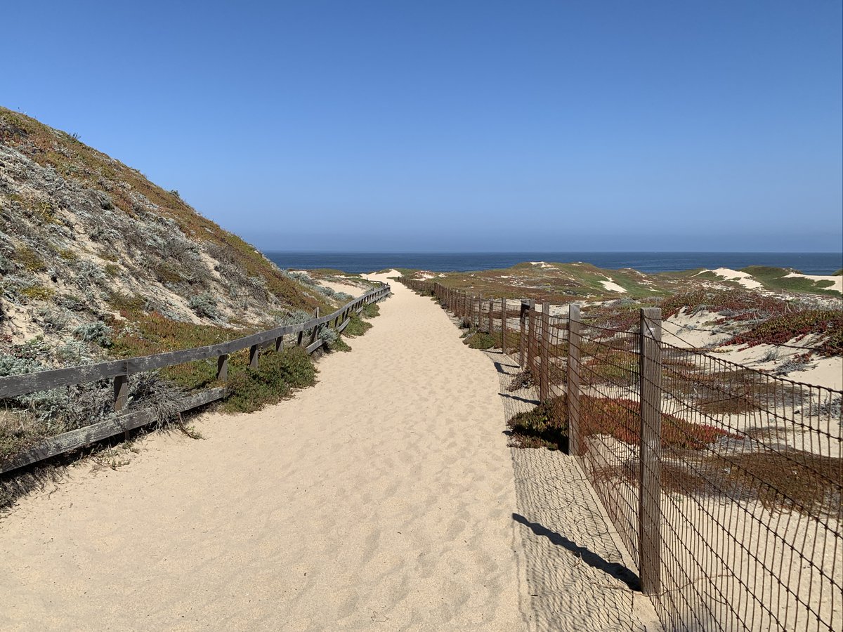 TCZmak's tweet photo. It's #IndependenceDay! Where will the holiday take you? #BeachDay #AuthorsParadise #DarkSurf #TCZmak https://t.co/gCy7tcNhE4