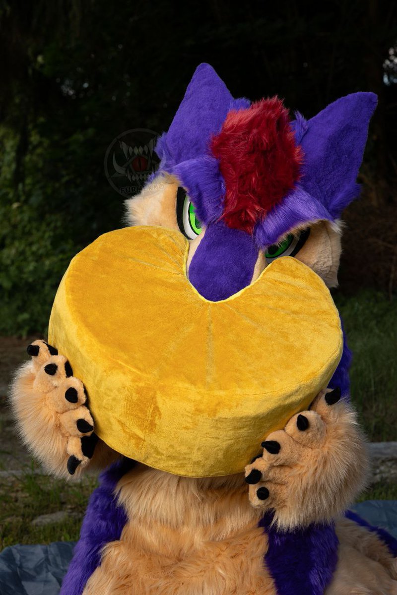 Xerg_al's tweet image. That&apos;s the amgry chomker I&apos;m talking about 👀
I&apos;m so happy how this cutie turned out and still can&apos;t believe that I actually can wear a suit of my Cheesewedge now 🧀

Big thanks to @FurNEkkoCr for bringing this bad boy to life &amp;lt;3
📸@Cthulhusnet and @Sylvariasblue thank you too!