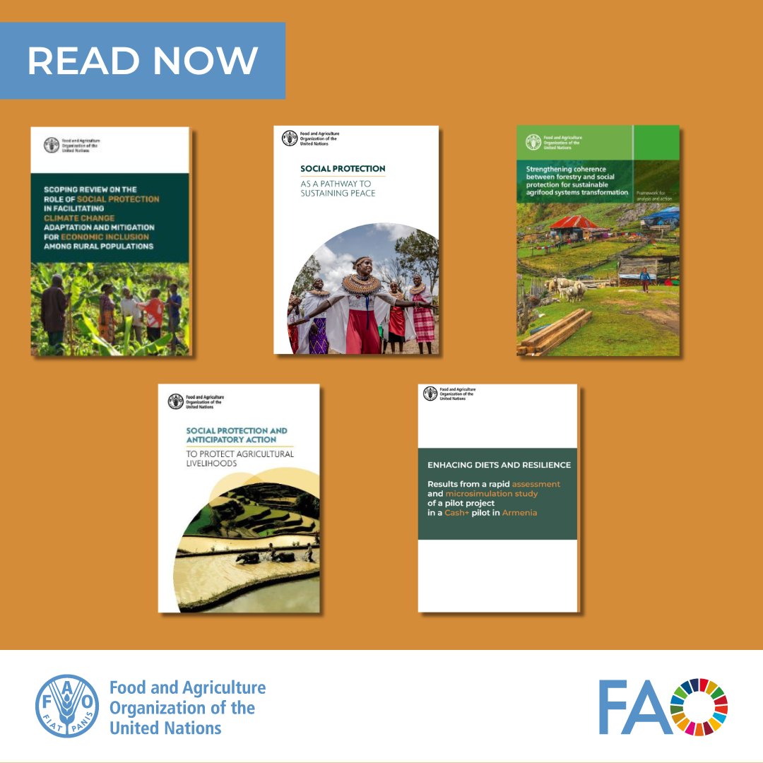 FAO Social & Economic Development tweet media