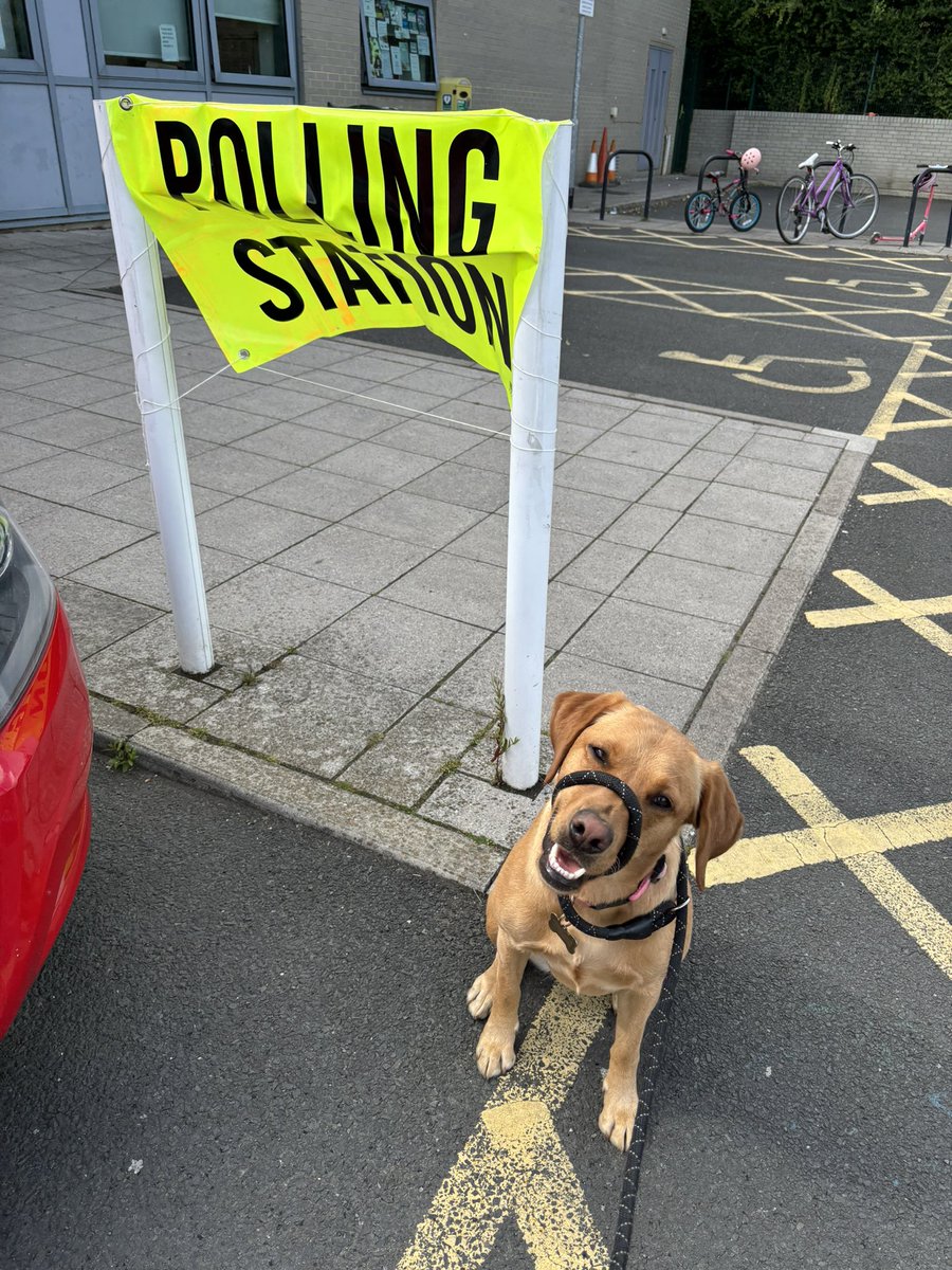 Lucy’s first <a href="/VotingDogs/">#DogsAtPollingStations</a> #dogsatpollingstations