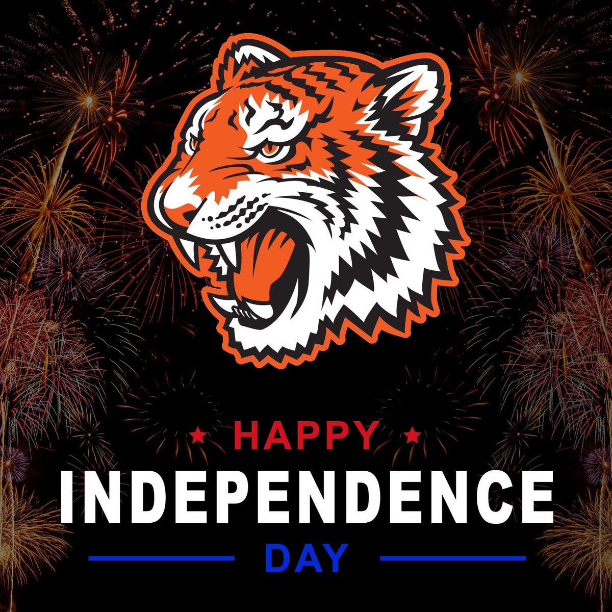 rcc_athletics's tweet photo. 🎇 Happy #4thofJuly Tiger family! 🐯 #ThisIsRCity https://t.co/DI2fdYfmTn