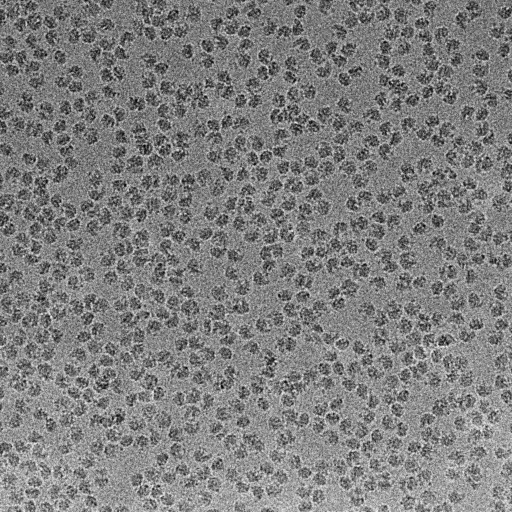 Maria GóRNA (@m_gorna) on Twitter photo Another fantastic collaboration with <a href="/MissAgataStar/">Agata Starosta</a> 😍We can finally play with some ribosomes too! 🤗
Frozen yesterday by <a href="/KJBandyra/">Kasia</a>, screened today by <a href="/t_goral/">Tomasz Góral</a> on our Glacios <a href="/UniWarszawski/">Uniwersytet Warszawski</a>, looking good on the very first try!🤩 Another fantastic collaboration with <a href="/MissAgataStar/">Agata Starosta</a> 😍We can finally play with some ribosomes too! 🤗
Frozen yesterday by <a href="/KJBandyra/">Kasia</a>, screened today by <a href="/t_goral/">Tomasz Góral</a> on our Glacios <a href="/UniWarszawski/">Uniwersytet Warszawski</a>, looking good on the very first try!🤩