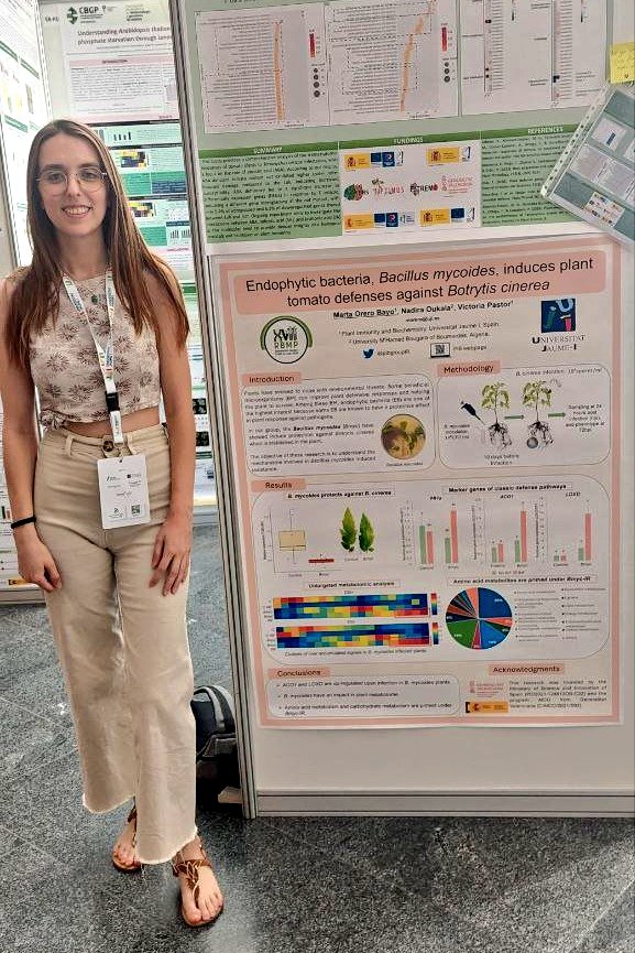 Plant Immunity and Biochemistry (@pibgroupir) on Twitter photo <a href="/OreroBayo/">Marta Orero</a> sharing her poster at #XVIIRBMP about "Endophytic bacteria, Bacillus mycoides, induces plant tomato defenses against Botrytis cinerea" 🍅🦠🌿
#plantdefense #biochemistry #bacteria #Botrytiscinerea <a href="/OreroBayo/">Marta Orero</a> sharing her poster at #XVIIRBMP about "Endophytic bacteria, Bacillus mycoides, induces plant tomato defenses against Botrytis cinerea" 🍅🦠🌿
#plantdefense #biochemistry #bacteria #Botrytiscinerea