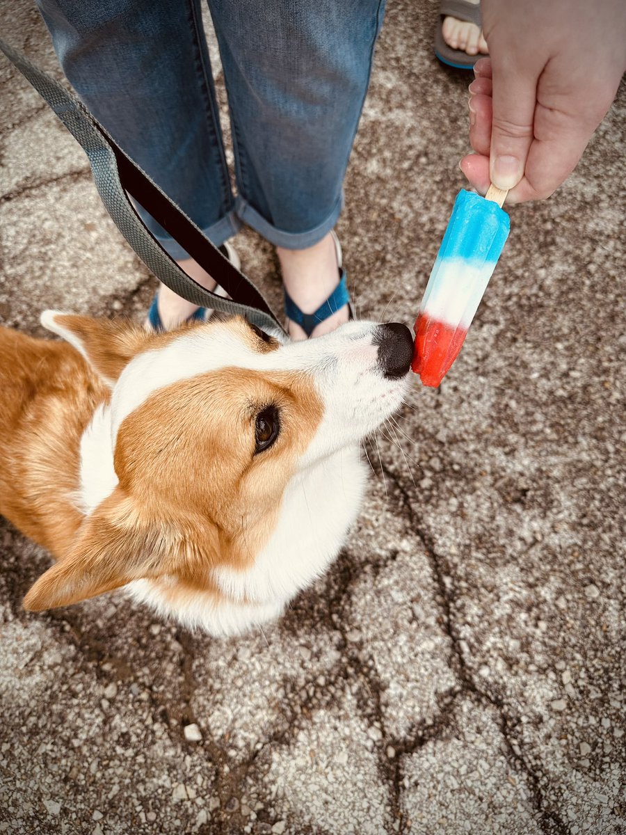 Happy Independence Day! Bomb pop: invented in KC in July 1950.
Always served at end of neighborhood parade. 🎆 🎇🇺🇸❤️🤍💙