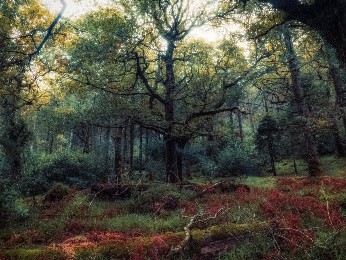 artofseanmurphy's tweet image. moments that were paintings