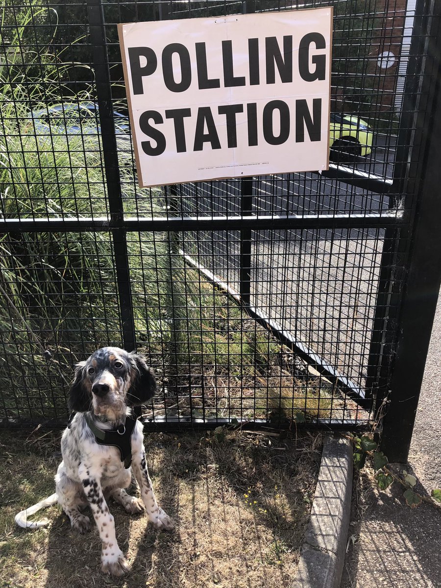 Susie Martin (@drsusiemartin) on Twitter photo Ragnar’s very first election! 🐶 Obviously he’s voting for the dog treats party #DogsAtPollingStations <a href="/VotingDogs/">#DogsAtPollingStations</a> #EnglishSetter Ragnar’s very first election! 🐶 Obviously he’s voting for the dog treats party #DogsAtPollingStations <a href="/VotingDogs/">#DogsAtPollingStations</a> #EnglishSetter
