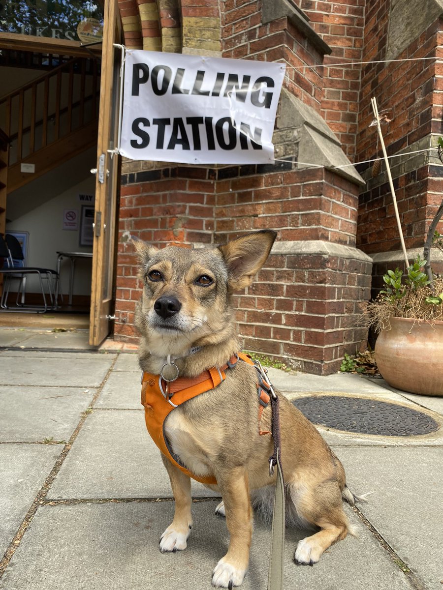 Mikemical Romance tweet media