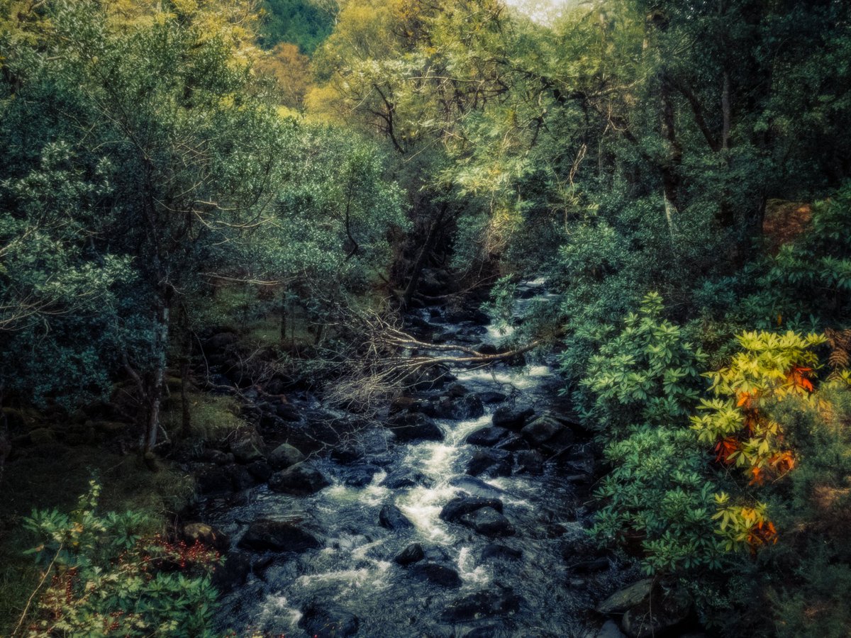 artofseanmurphy's tweet image. moments that were paintings