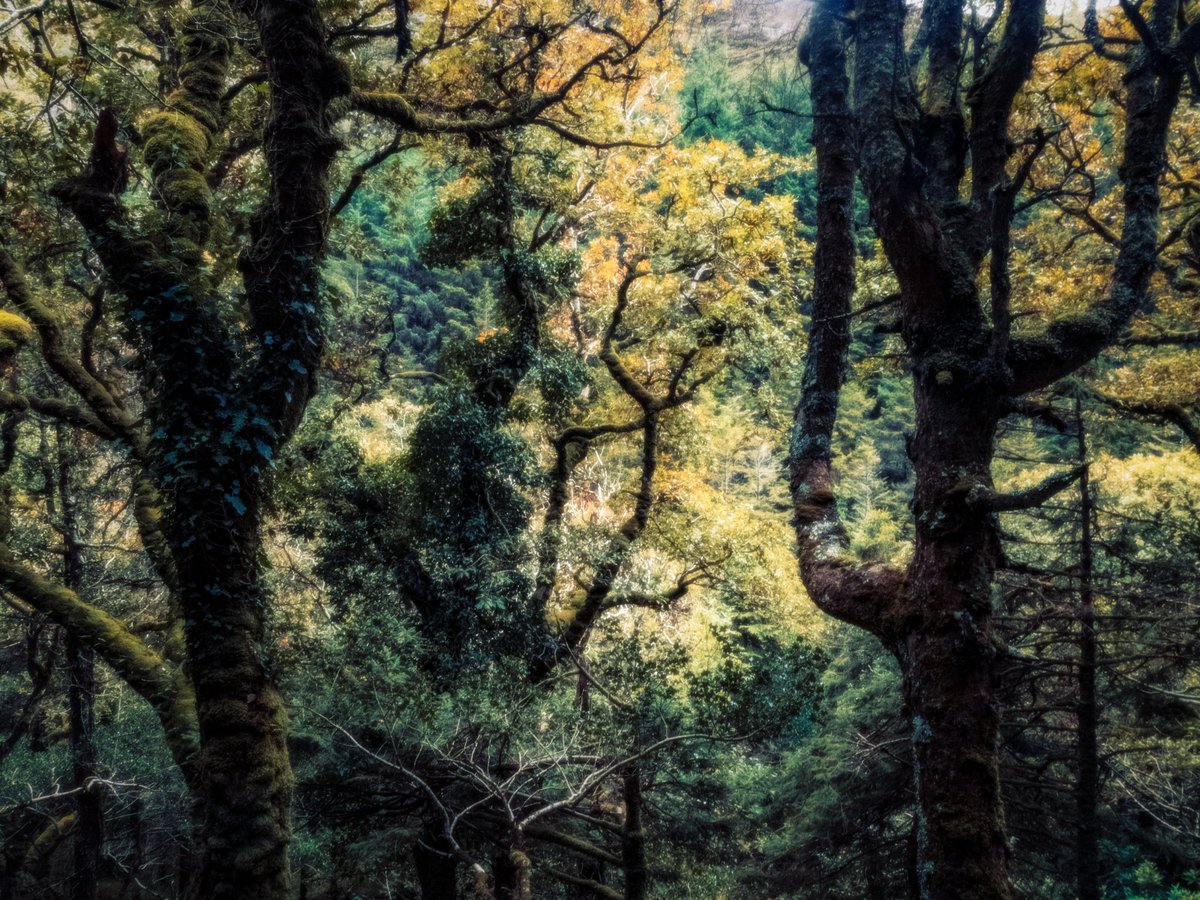 artofseanmurphy's tweet image. moments that were paintings