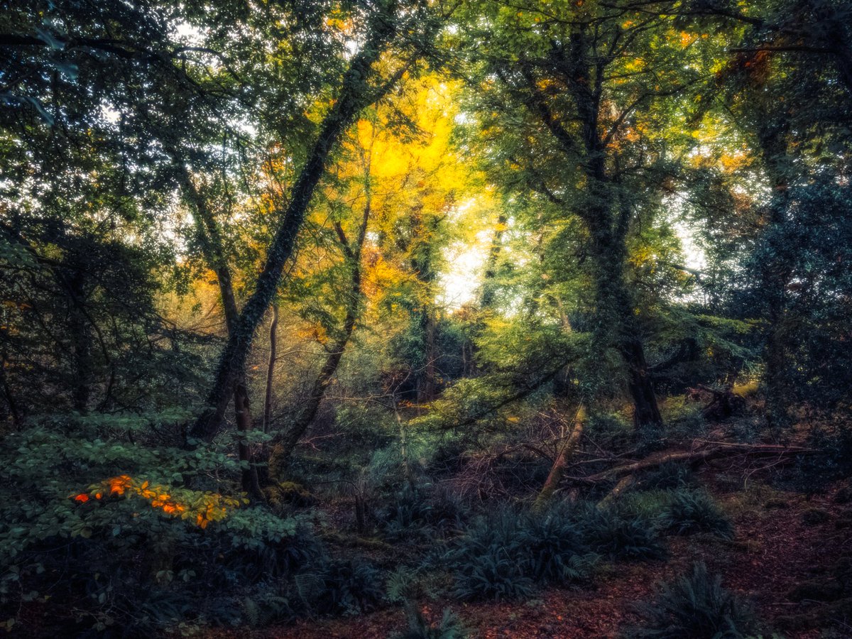 artofseanmurphy's tweet image. moments that were paintings