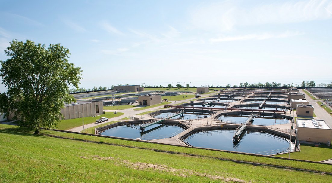 Estelle Brachlianoff tweet media