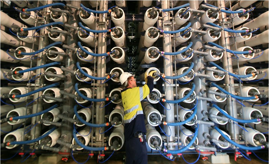 Estelle Brachlianoff tweet media