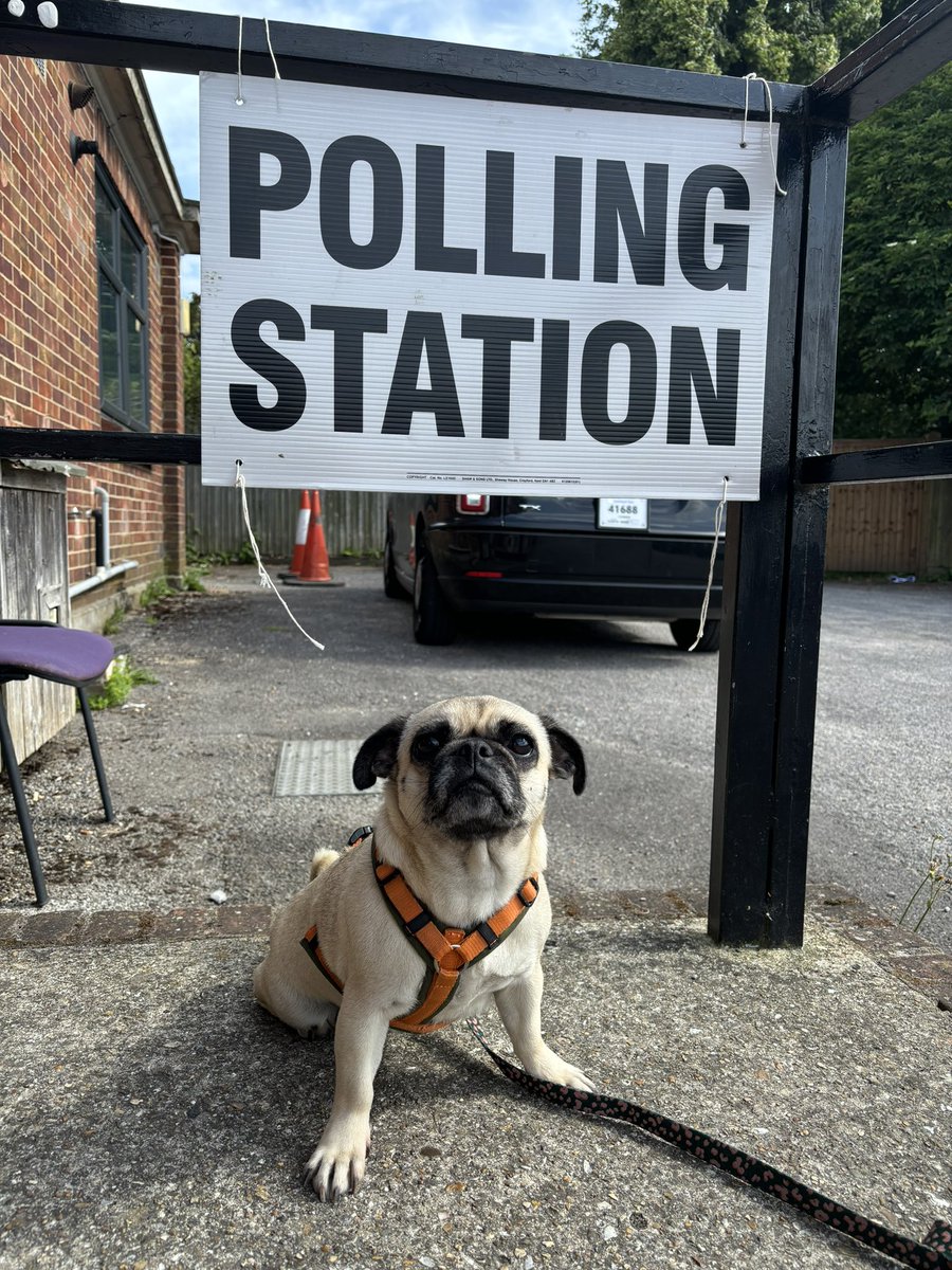 Elizabeth Secker tweet media