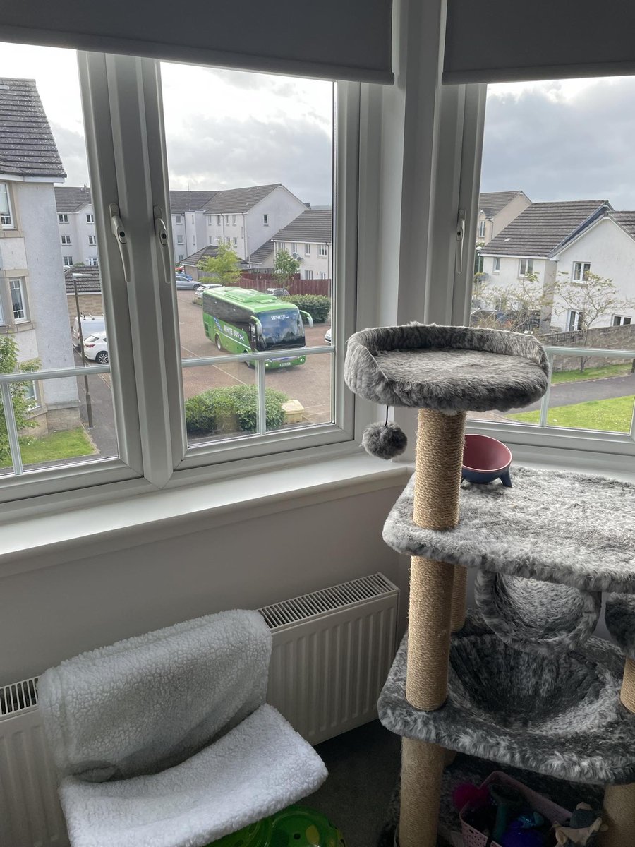 SNP sending buses round to collect voters - <a href="/falkirkcouncil/">Falkirk Council</a>  <a href="/ElectoralCommUK/">Electoral Commission</a> is this allowed?