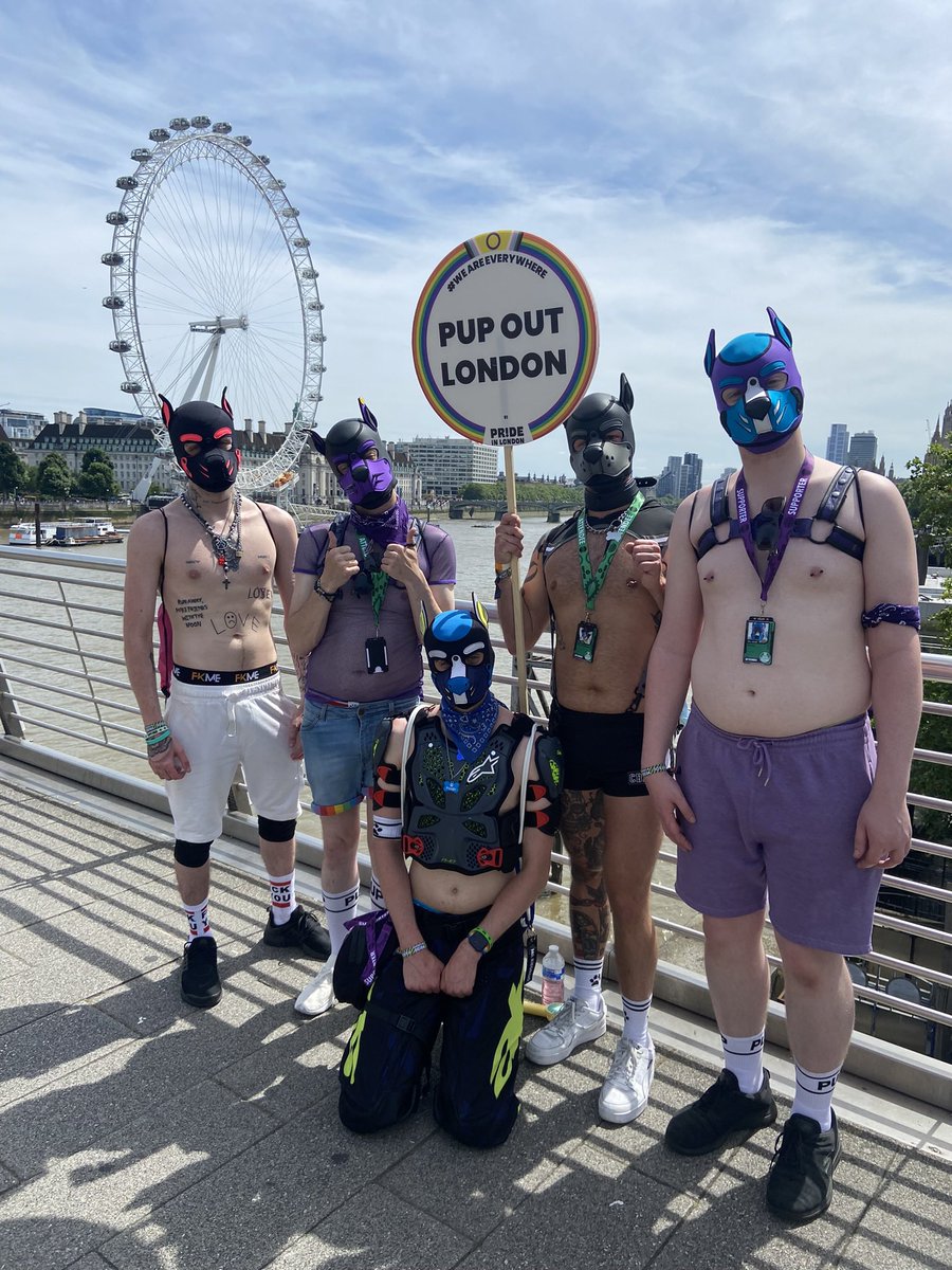 🖤 Pup Scruffy 💖 tweet media