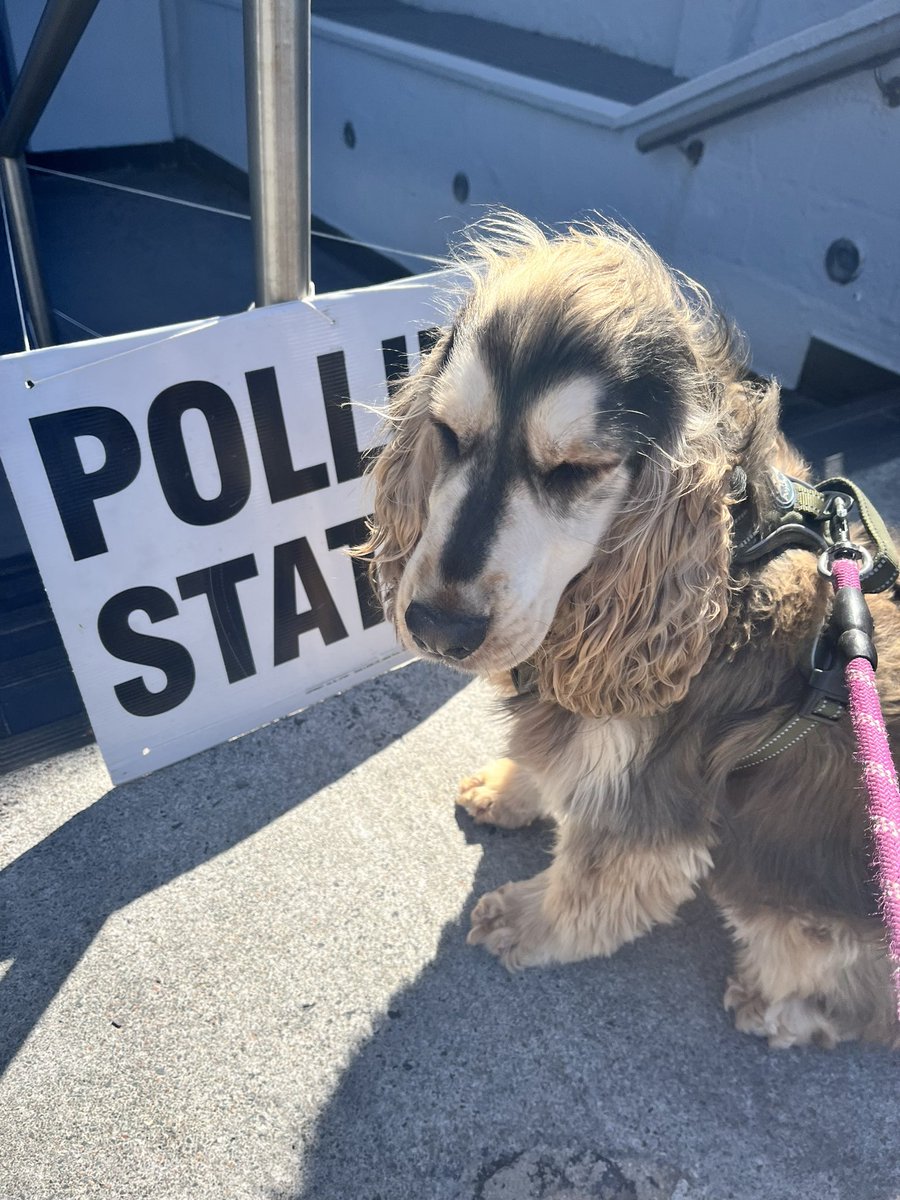 Is this still a thing?
#dogsatpollingstations